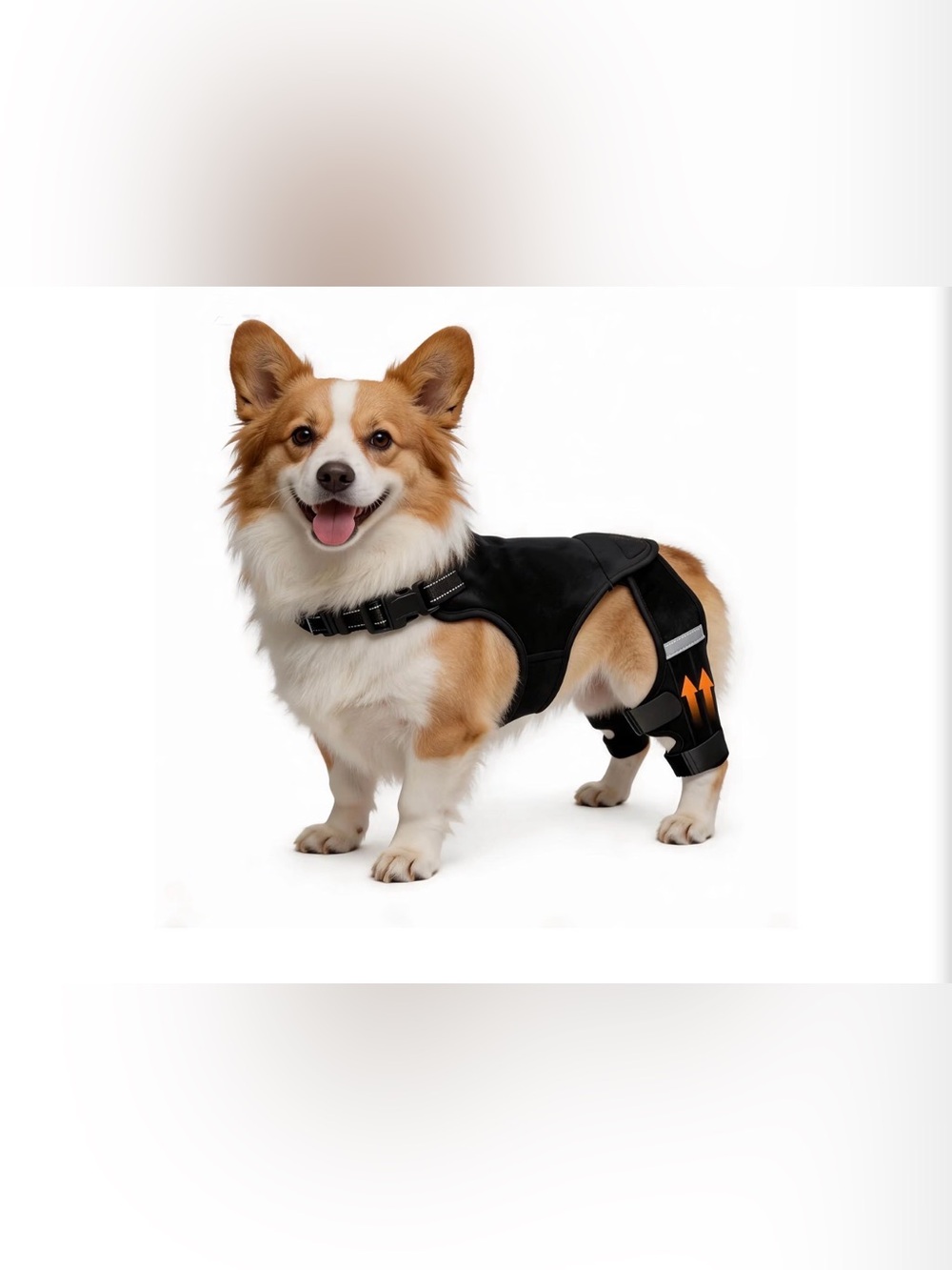 ALYBIT Dog Knee Brace Hind Leg Support w/ 4 Metal Strips Adjustable Small